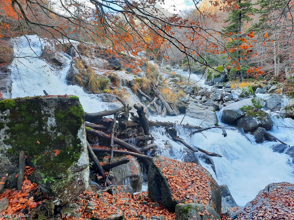 TARDOR A LA VALL DE SALENQUES