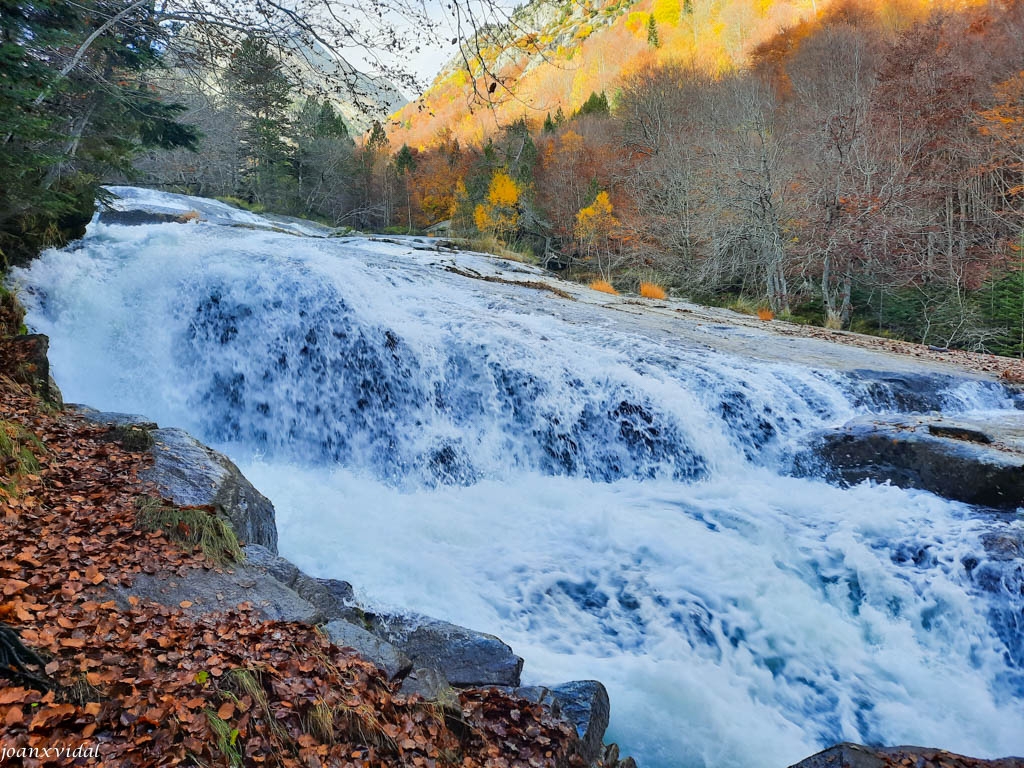 TARDOR A LA VALL DE SALENQUES