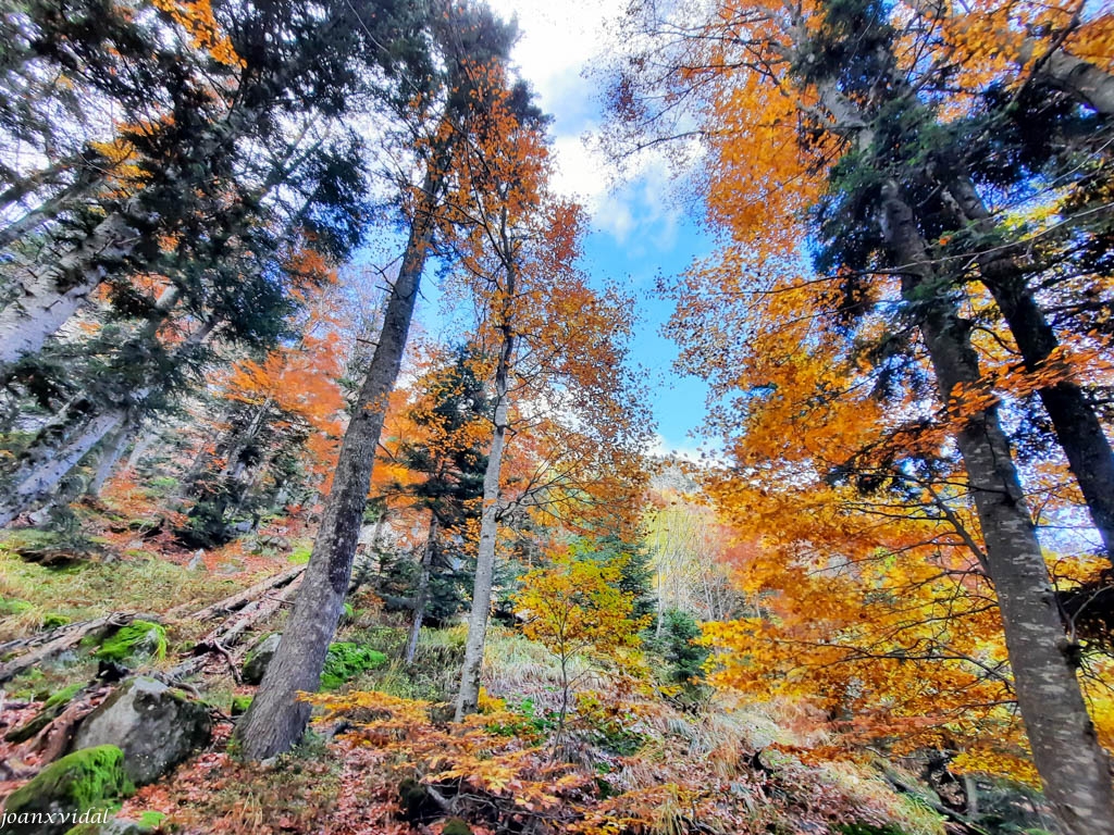 TARDOR A LA VALL DE SALENQUES