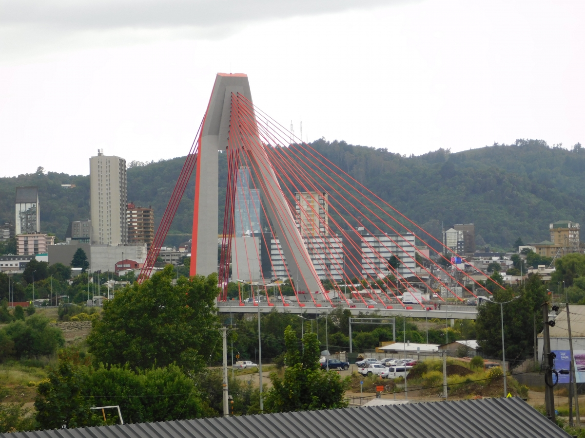 Una visita ms del puente colgante