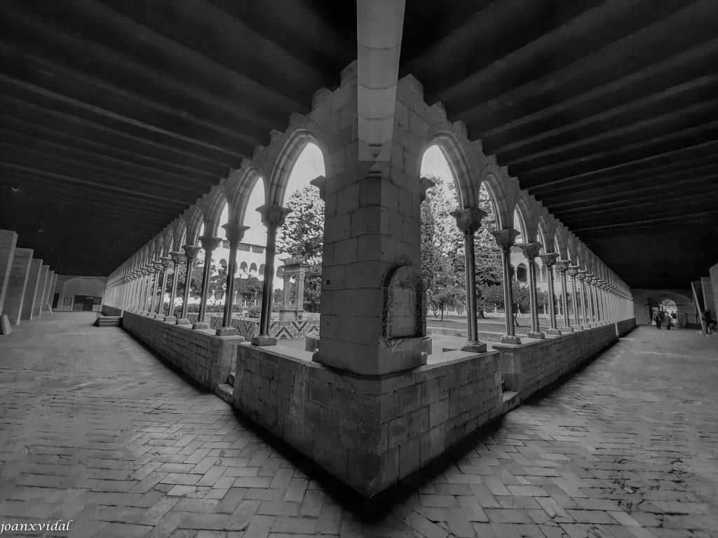 MONESTIR DE PEDRALBES