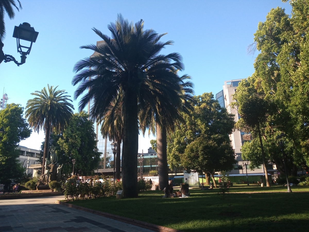 Plaza de Temuco 1