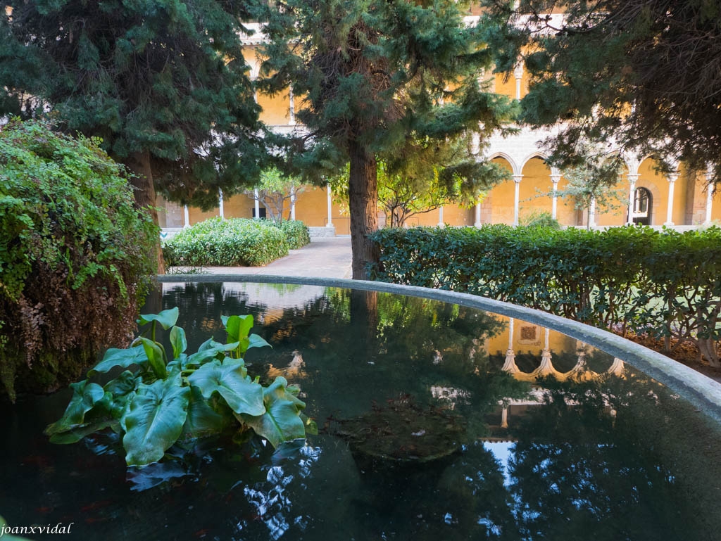 MONESTIR DE PEDRALBES