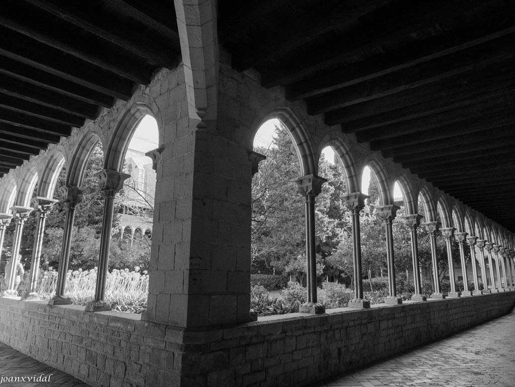 MONESTIR DE PEDRALBES