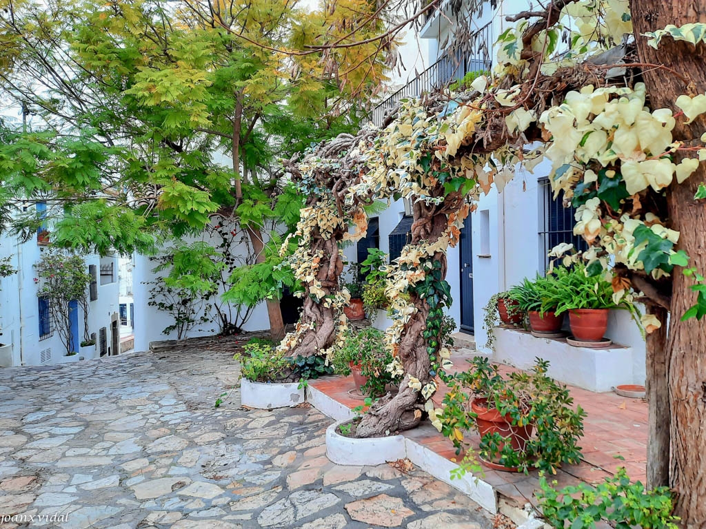 CARRERS CALELLA PALAFRUGELL