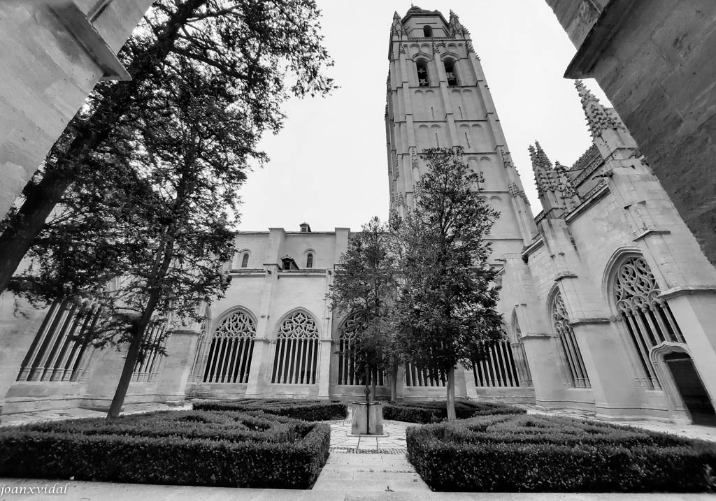 PATIO DEL CLAUSTRO DE LA CATEDRAL