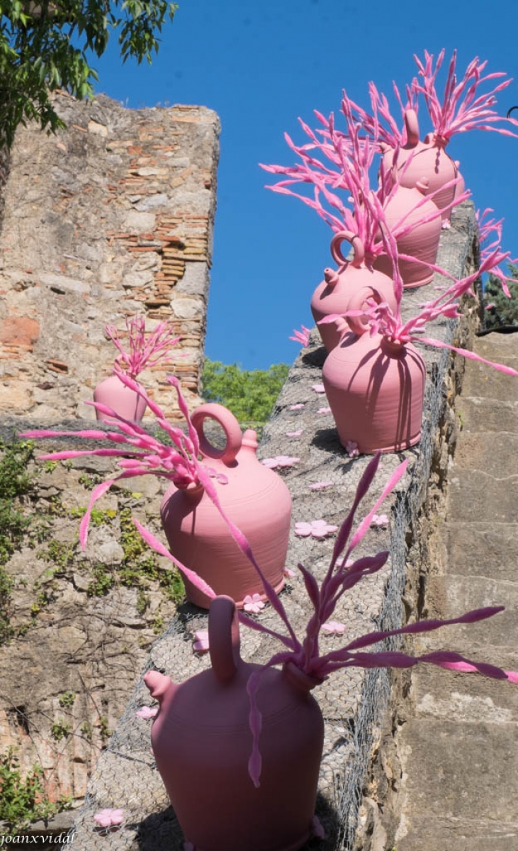 GIRONA TEMPS DE FLORS