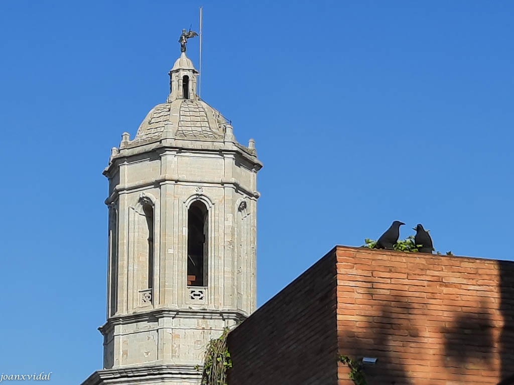 CAMPANAR DE LA CATEDRAL