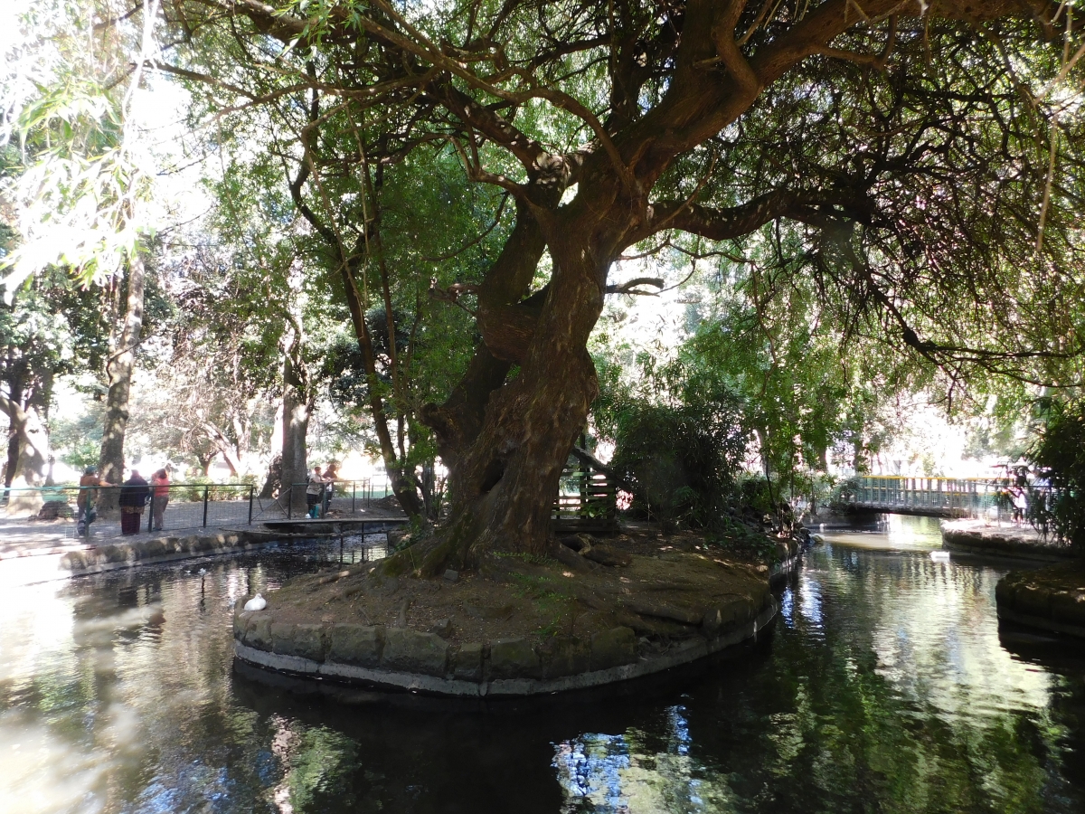 Un pequeo parque dentro de la ciudad 2