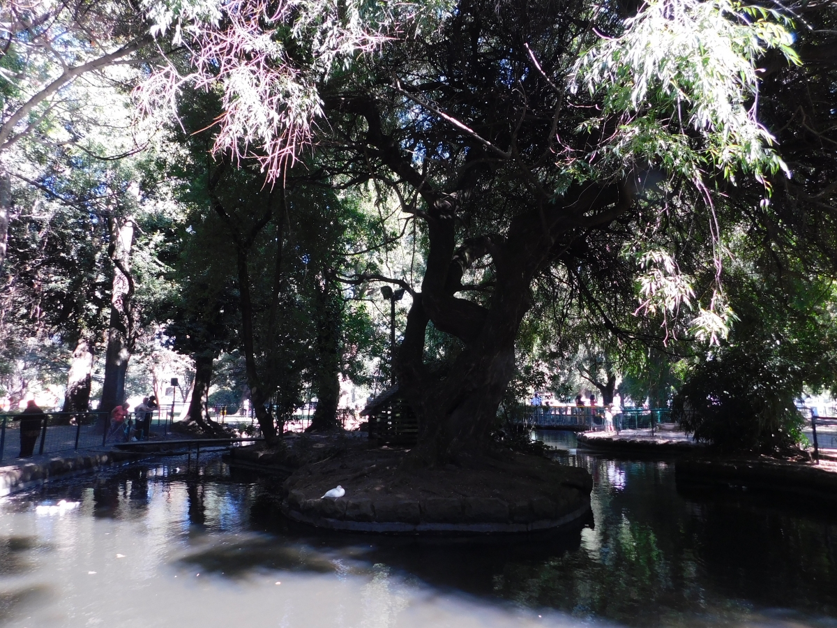 Pequeo lago en la ciudad