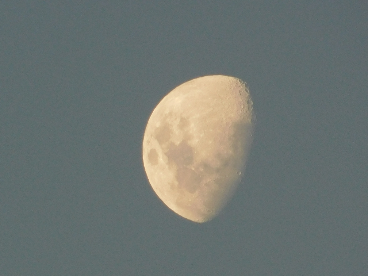 La luna no poda faltar en un paseo como este