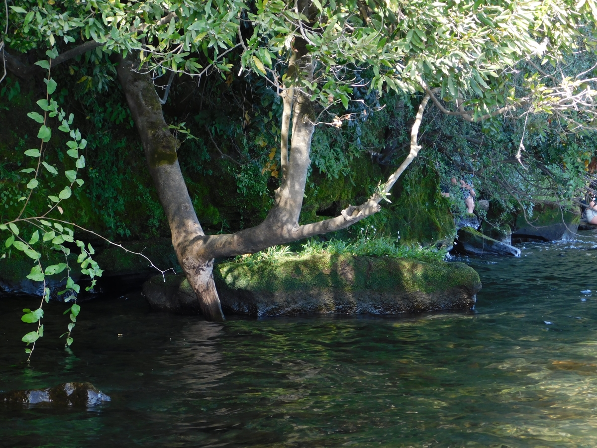 Lago colico 