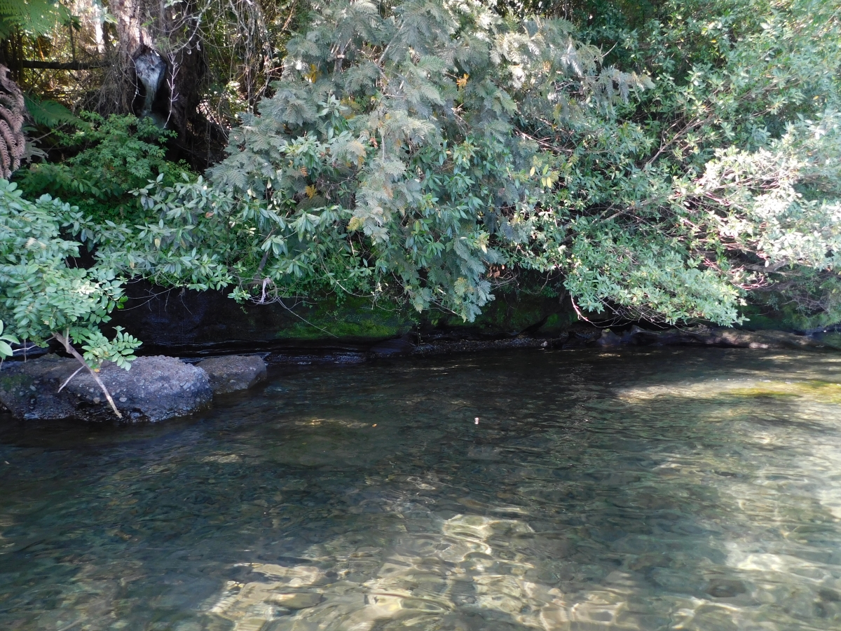 Lago colico 1