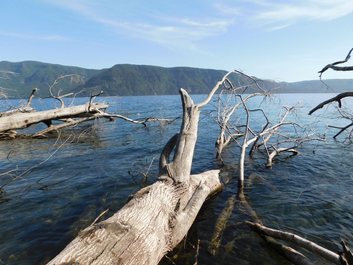 Lago colico 2