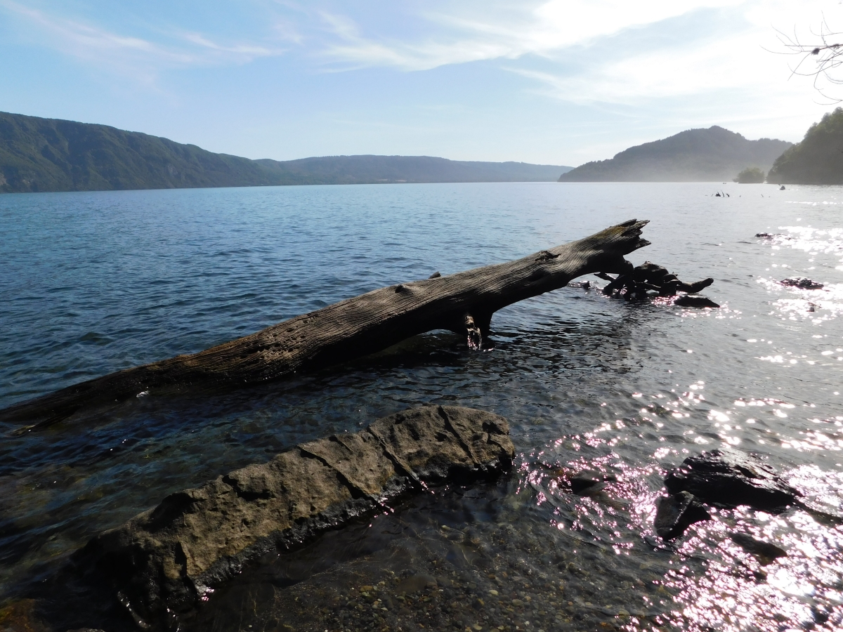 Lago colico 1