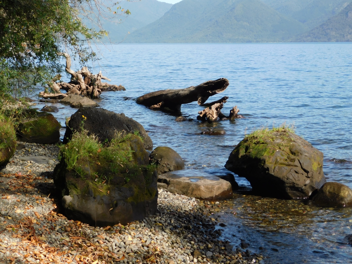 Lago colico 