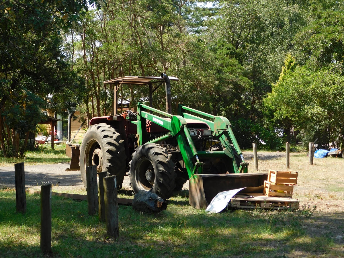 Dentro del campamento 2