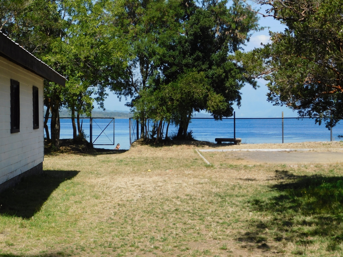 Interior del campamento 