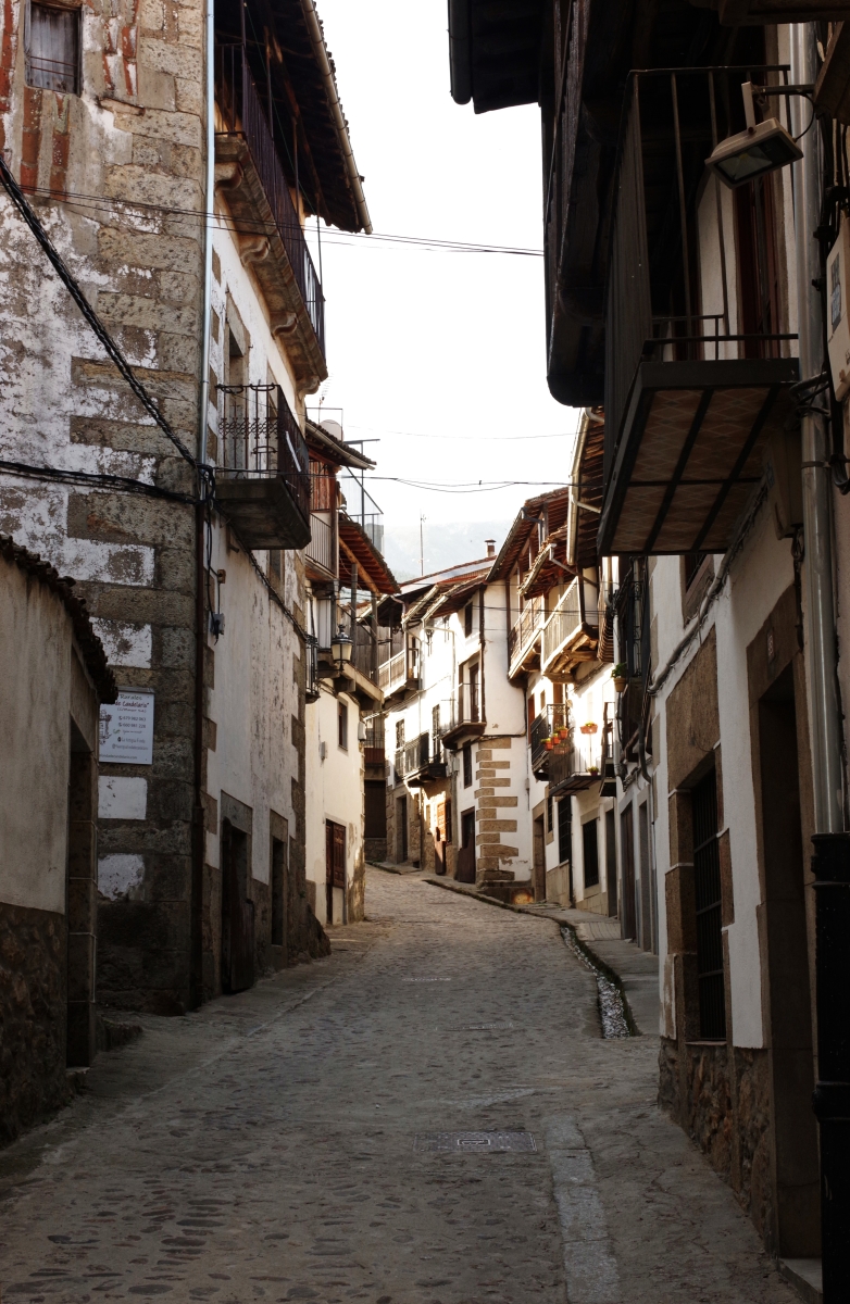 Candelario III