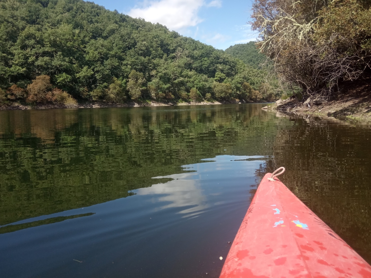 Kayak en Gustolas