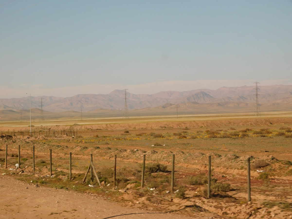 Carretera entre Vallenar y Copiap 