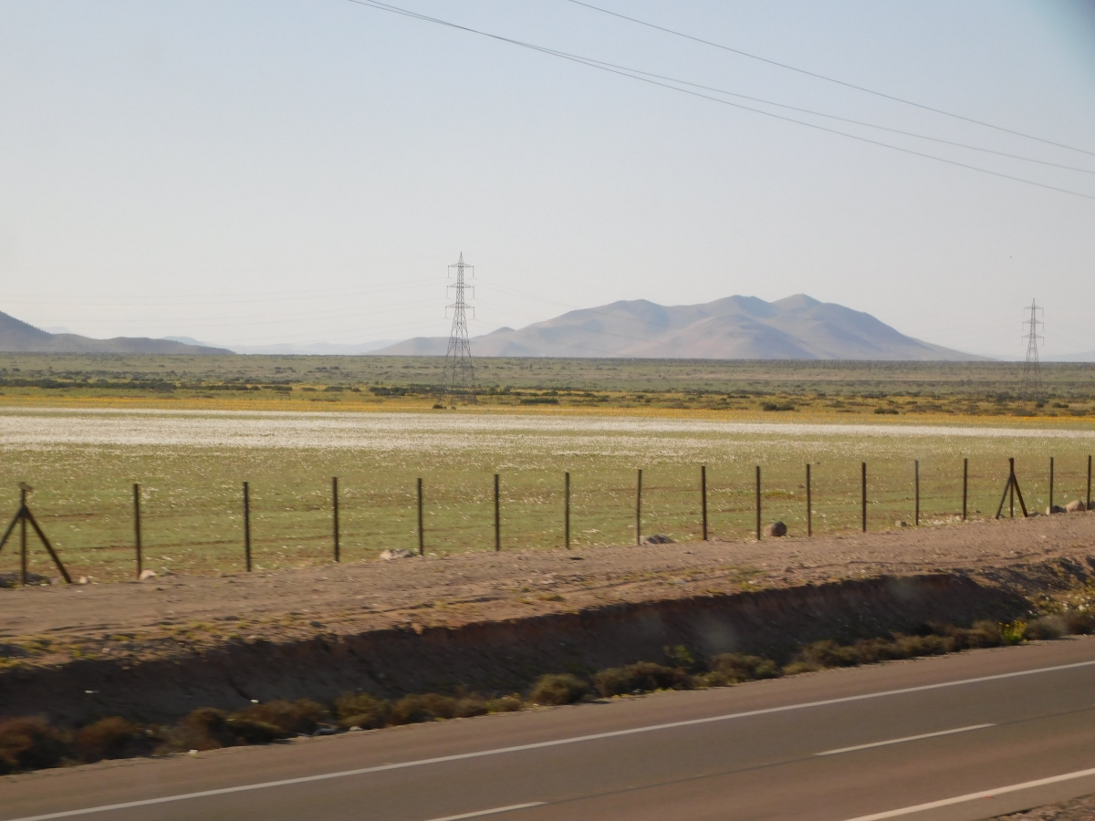 Carretera entre Vallenar y Copiap 2