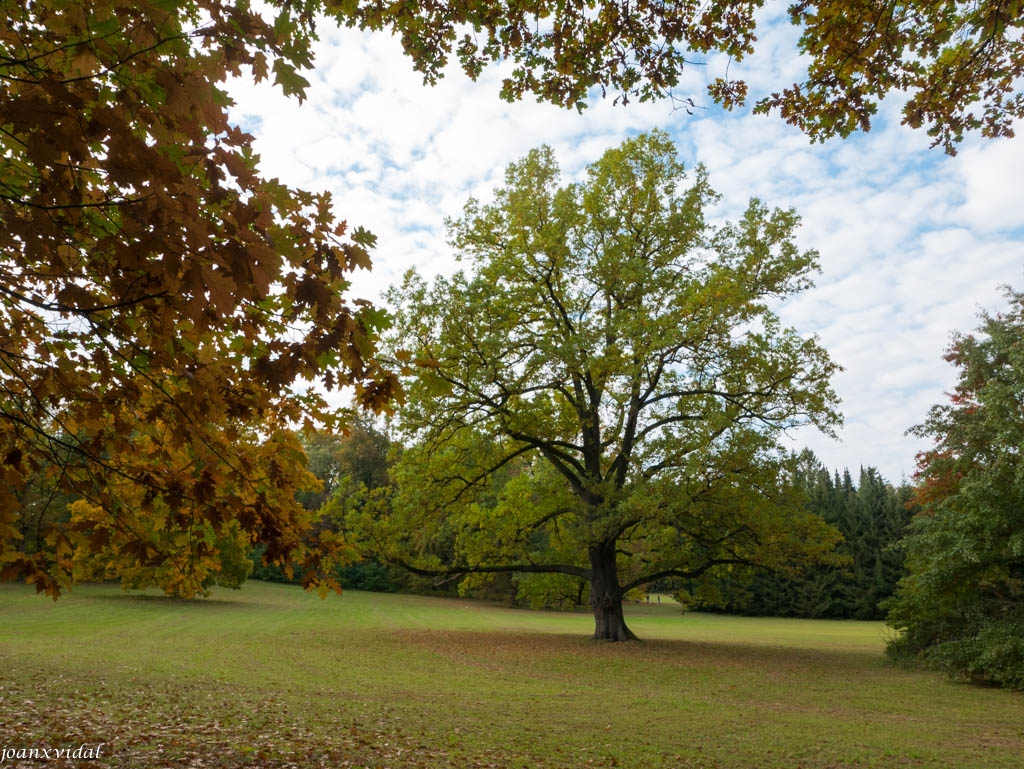 JARDINS DEL PALAU DE HLUBOK