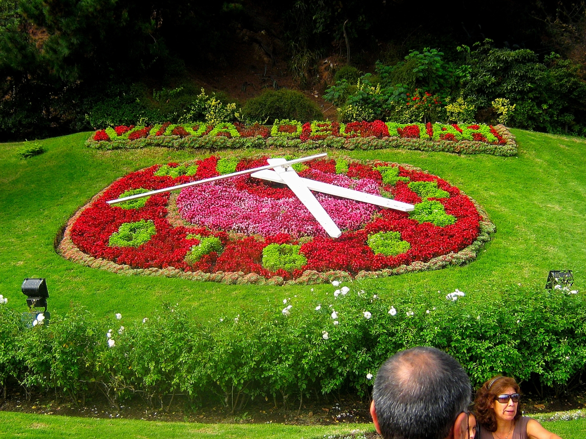 Sector reloj de flores 2