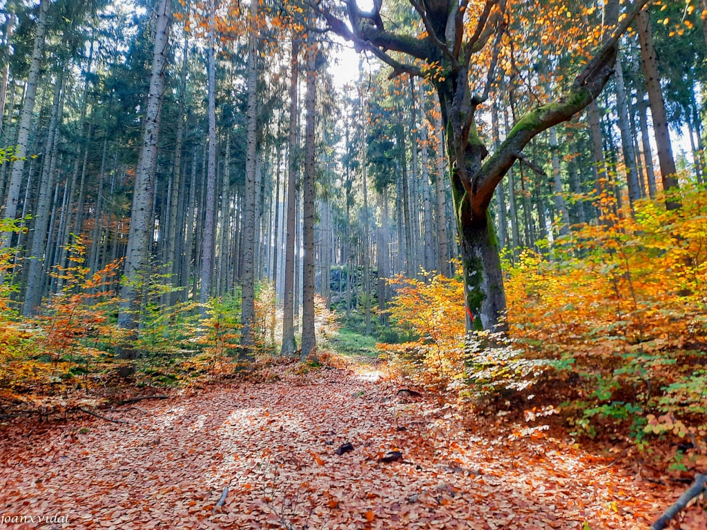 NARODNI PARK SUMAVA