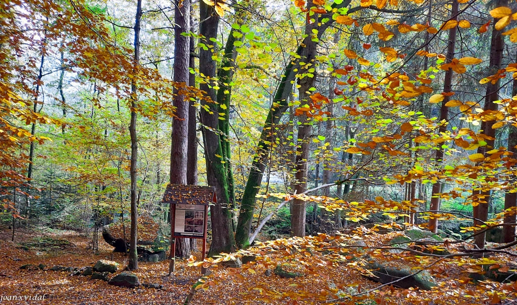 NARODNI PARK SUMAVA