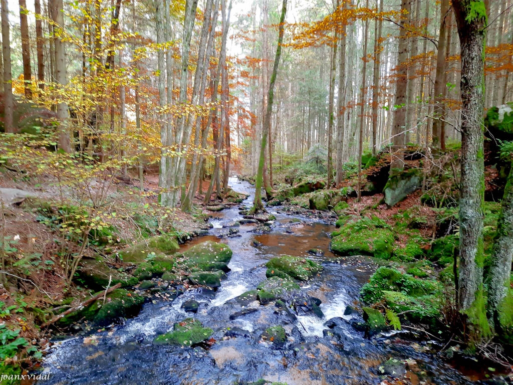 NARODNI PARK SUMAVA