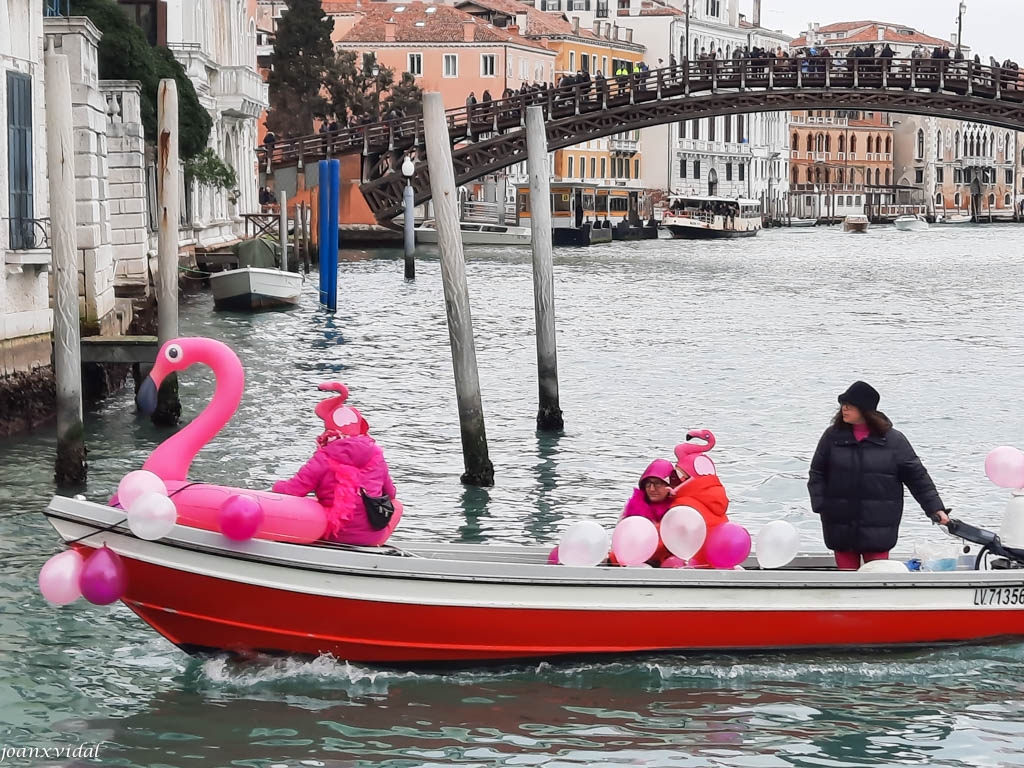 CARNEVALE DI VENEZIA