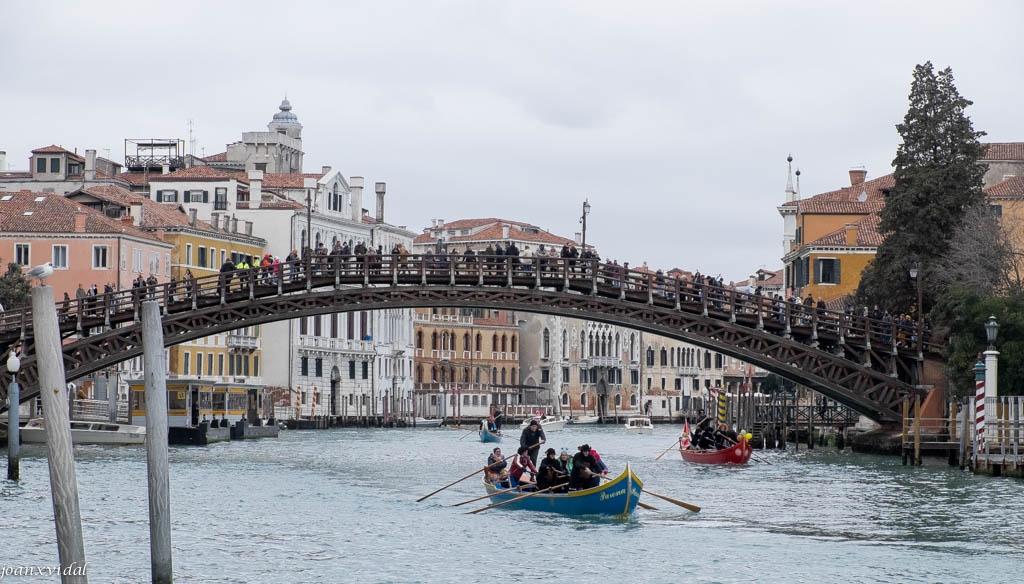 CARNEVALE DI VENEZIA