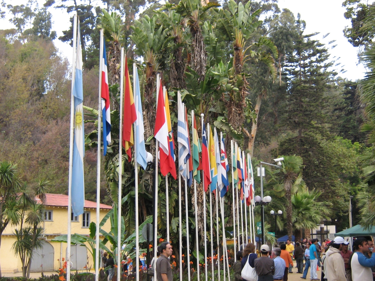 Homenaje a las banderas 