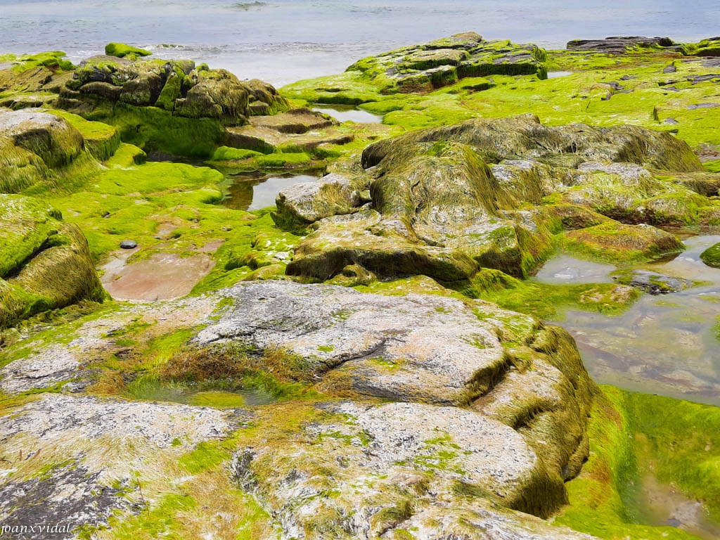 PLAYA LA LANZADA