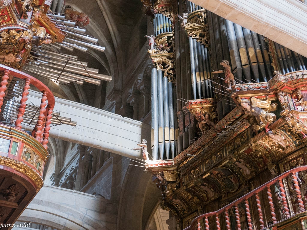 RGANOS DE LA CATEDRAL