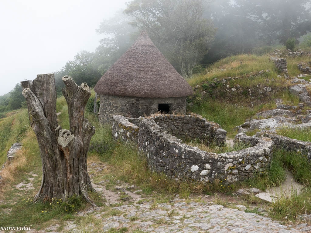 CASTRO DE SANTA TEGRA