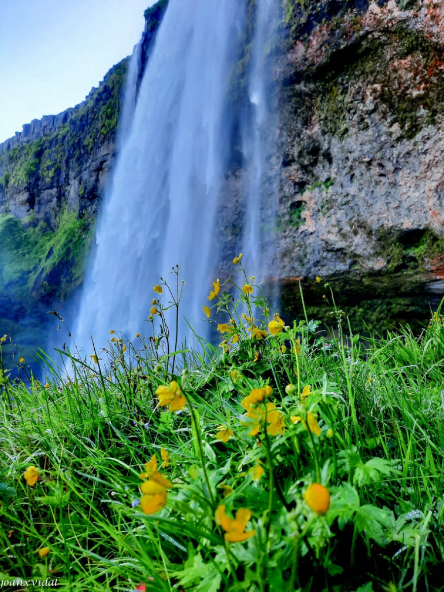 SELJALANDSFOSS