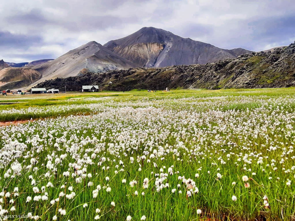 PRAT DE LANDMANNALAUGAR