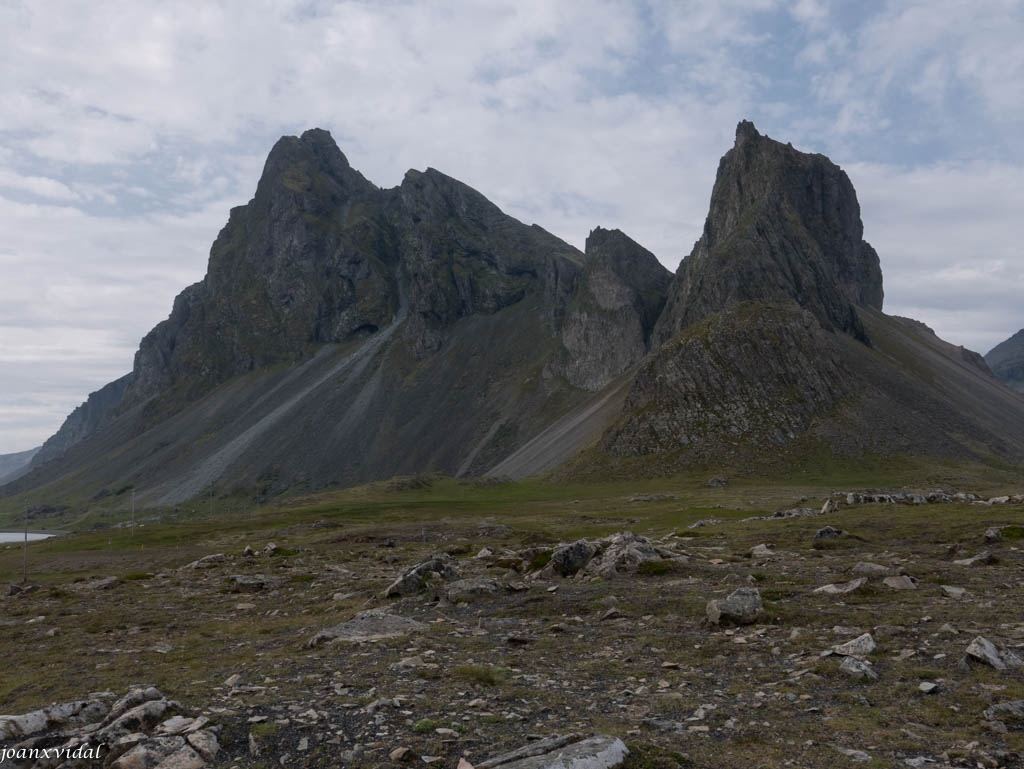 FIORDS ORIENTALS