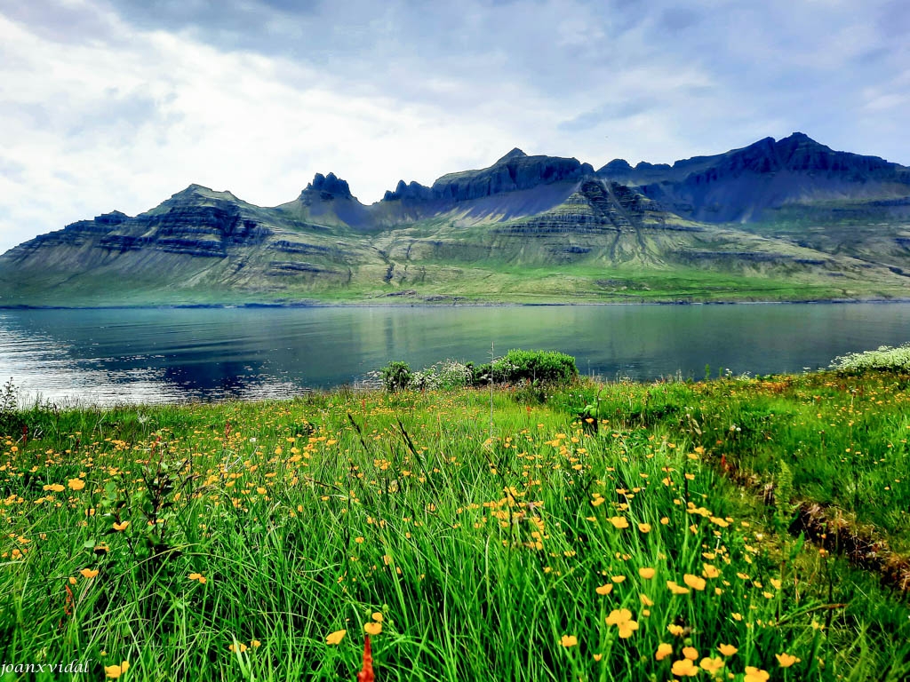 FIORDS ORIENTALS