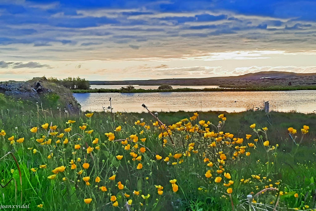 CAPTARD AL LLAC MYVATN