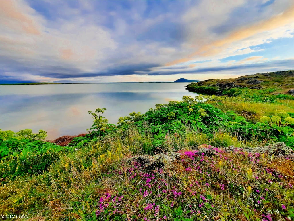 CAPTARD AL LLAC MYVATN