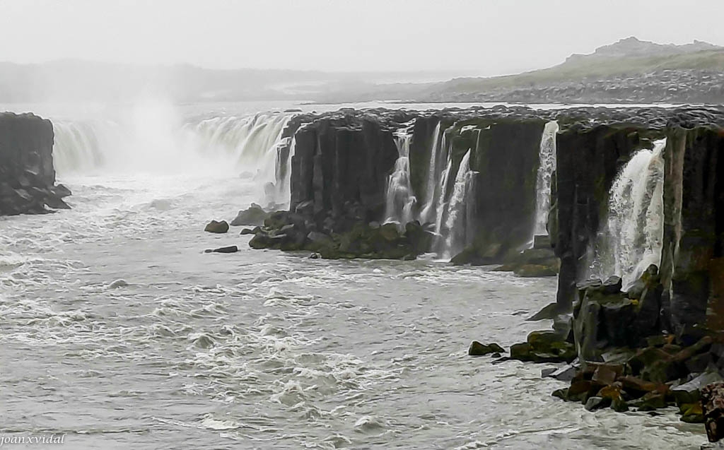 SELFOSS