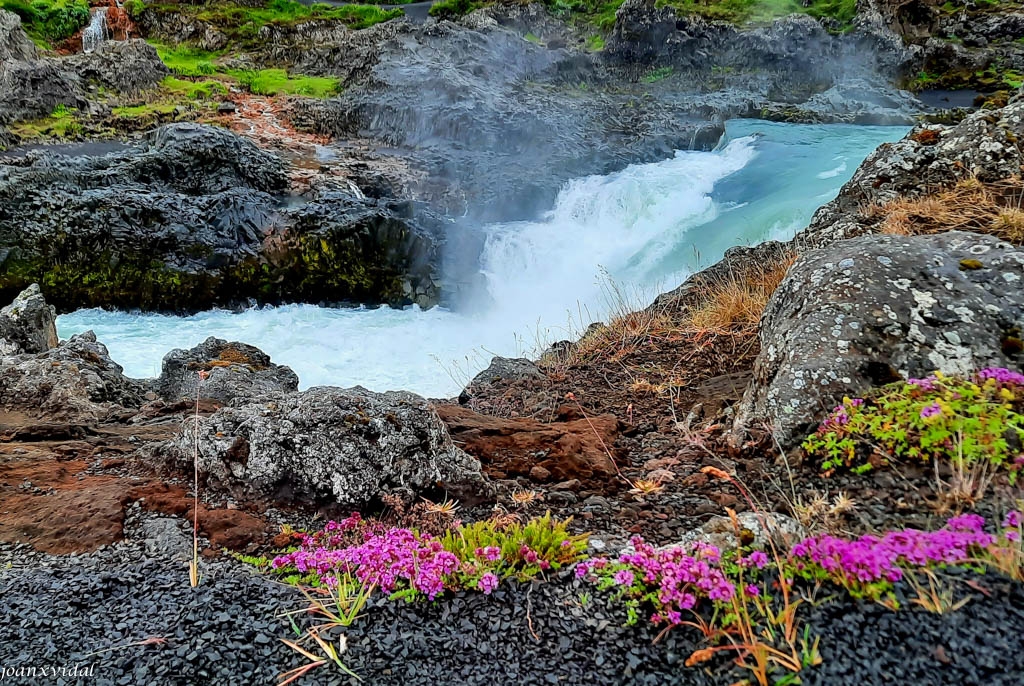 GODAFOSS