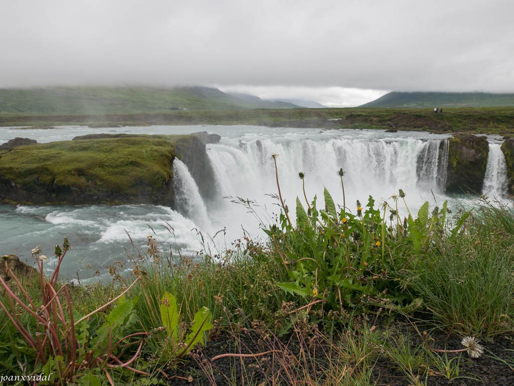 GODAFOSS