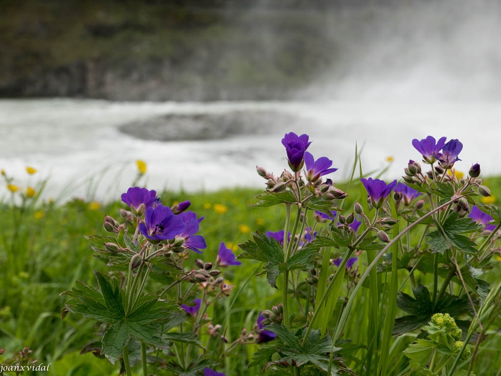 CASCADA DE GULLFOSS