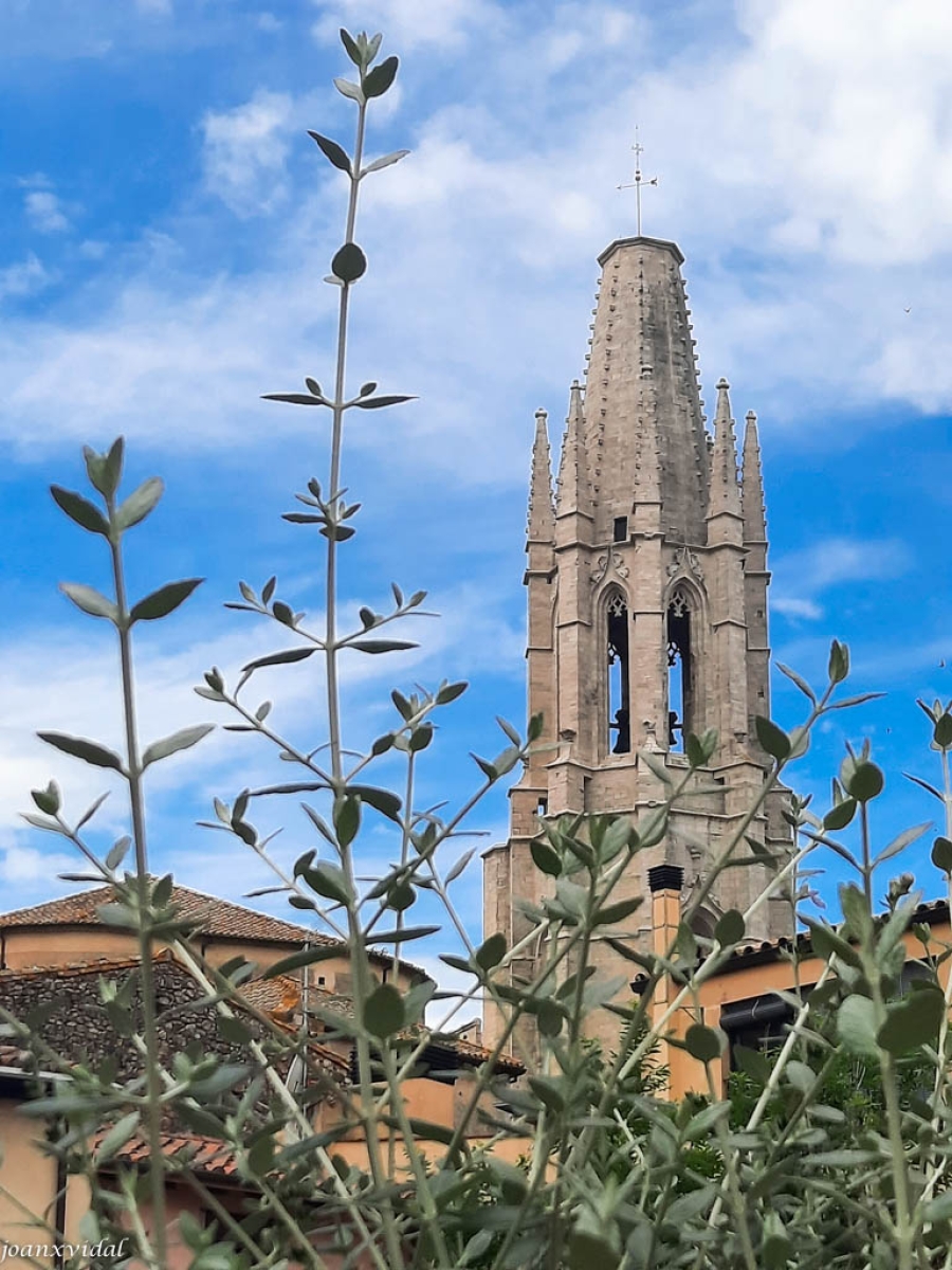 CAMPANAR DE SANT FELIU