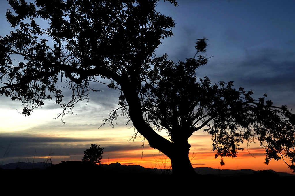 Atardecer en Bullas.Murcia.2