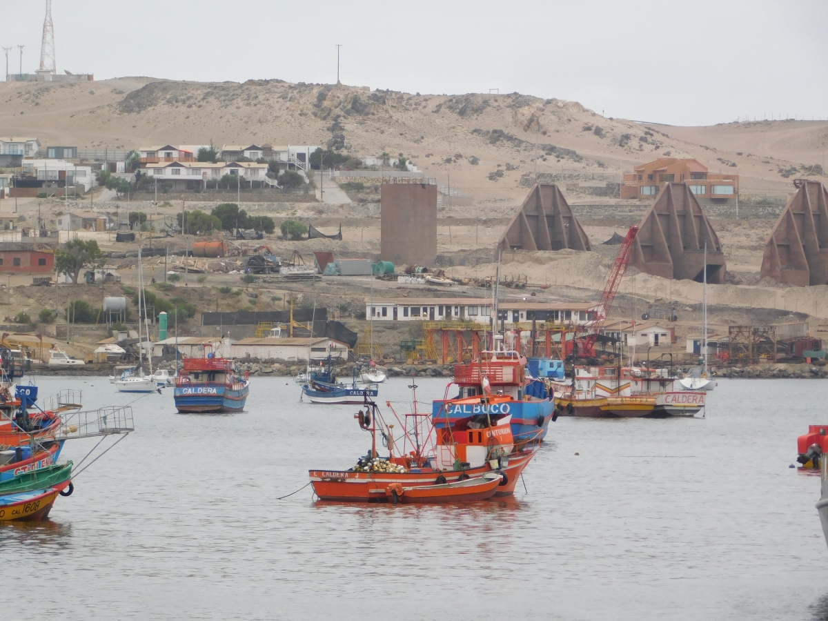 Mi puerto querido 